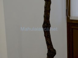 Exposición el tiempo de la Crisálida